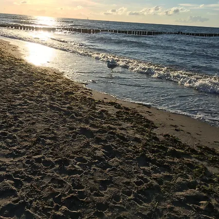 Ferienzimmer,nahe Rostock, Ot Albertsdorf Bis 7 Personen 公寓 *