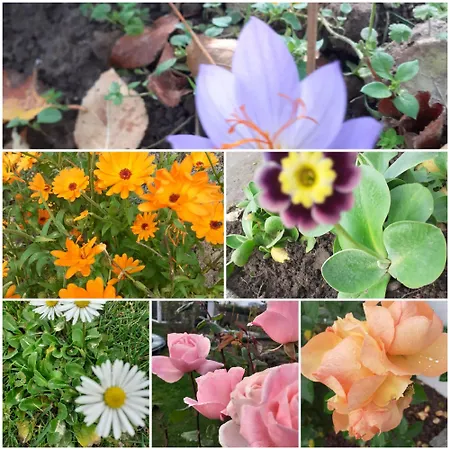 Ferienzimmer,nahe Rostock, Ot Albertsdorf Bis 7 Personen *